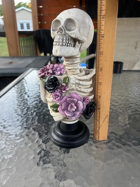 9 inch Skeleton Skull Figurine Statue