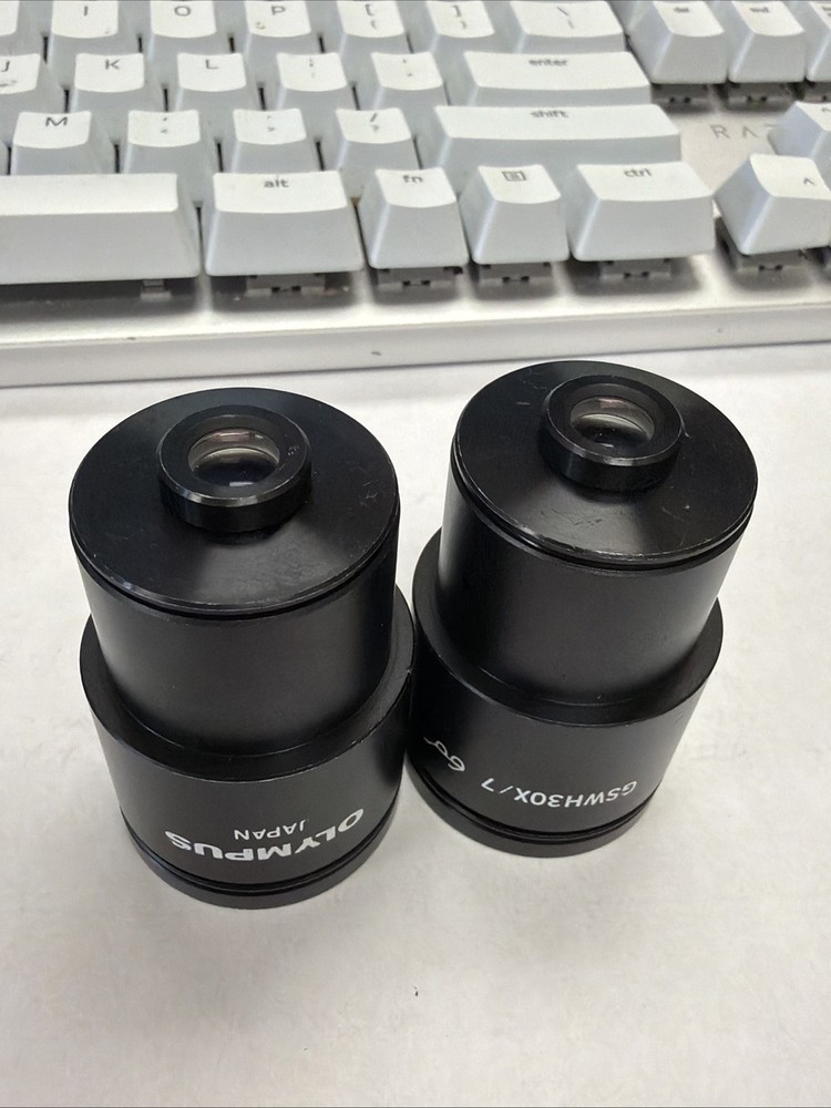 Olympus Microscope Eyepieces Pair (2) GSWH30X/7