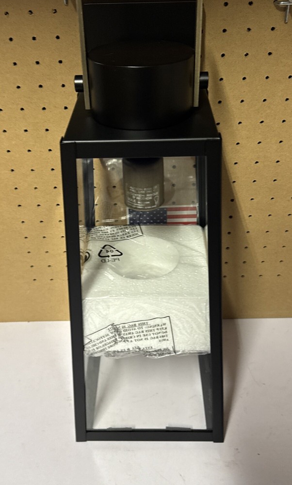 Lark Hugh 1 Light Outdoor Medium Wall Mount, Black/Clear - 82004BK