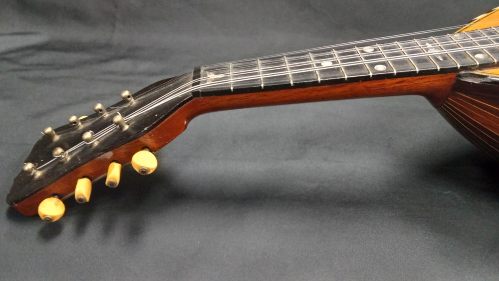 Marshall Field & Co Luxton Chicago Mandolin (READ DESCRIPTION)