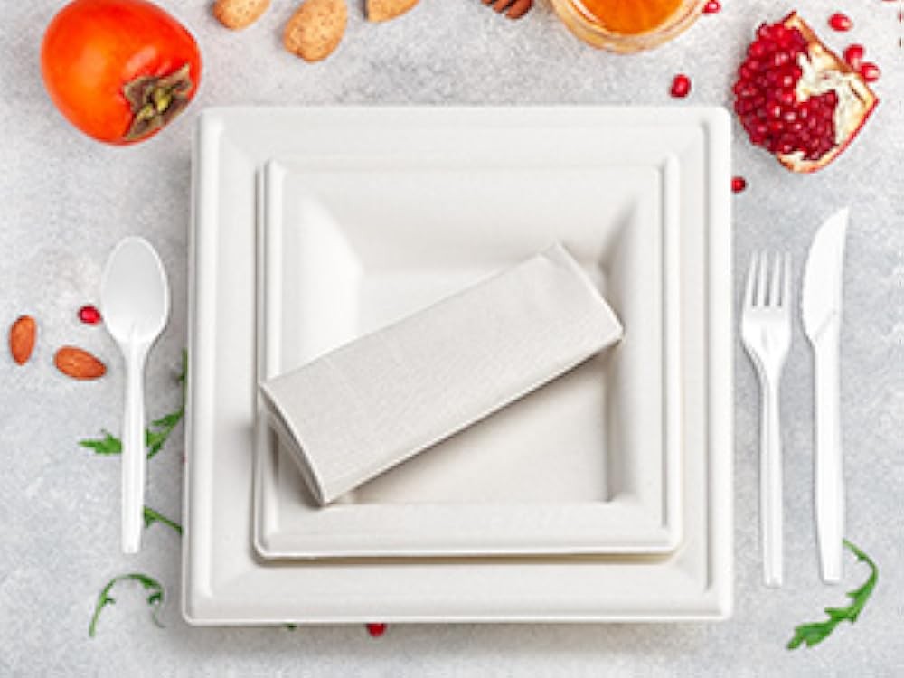 zond postable Paper Plates Set Disposable Srcane Plates 10 Inch