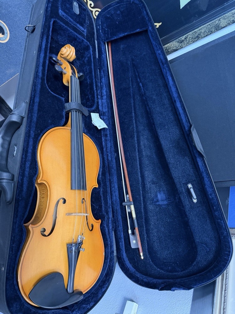 Viola With Bow In Case