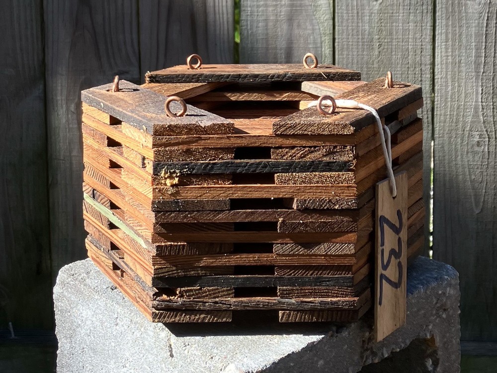 Handmade Hexagonal Rustic Hanging Basket – Super Character for Orchids & Epiphyt