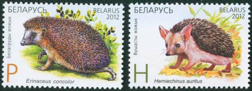 Belarus 2012 Fauna, Hedgehogs, Joint issue with Kazakhstan MNH**