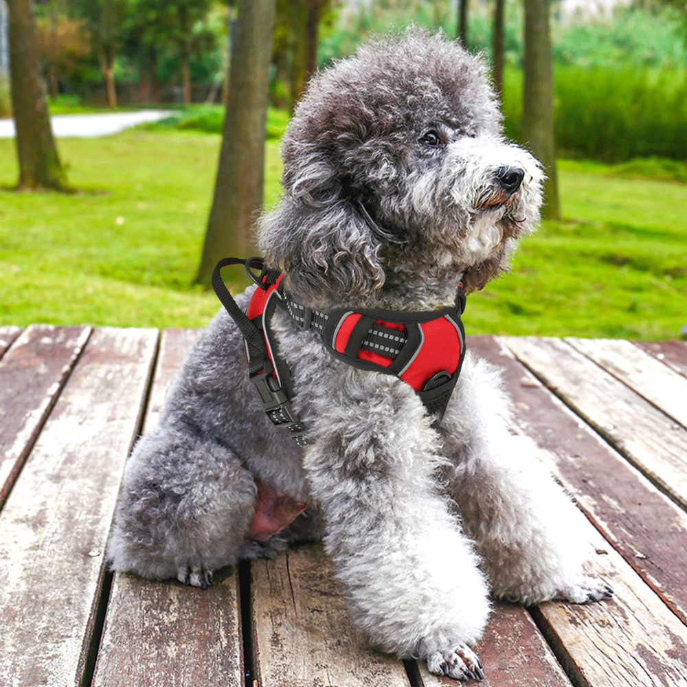 Soft No Pull Dog Pet Harness Reflective Strips Breathable Mesh Vest Red w/Handle