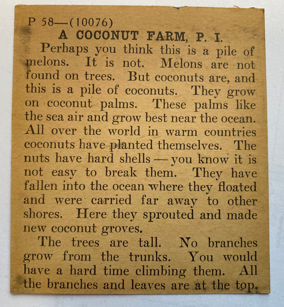 KEYSTONE MAGIC LANTERN SLIDE 58 COCONUT PALMS 1920s