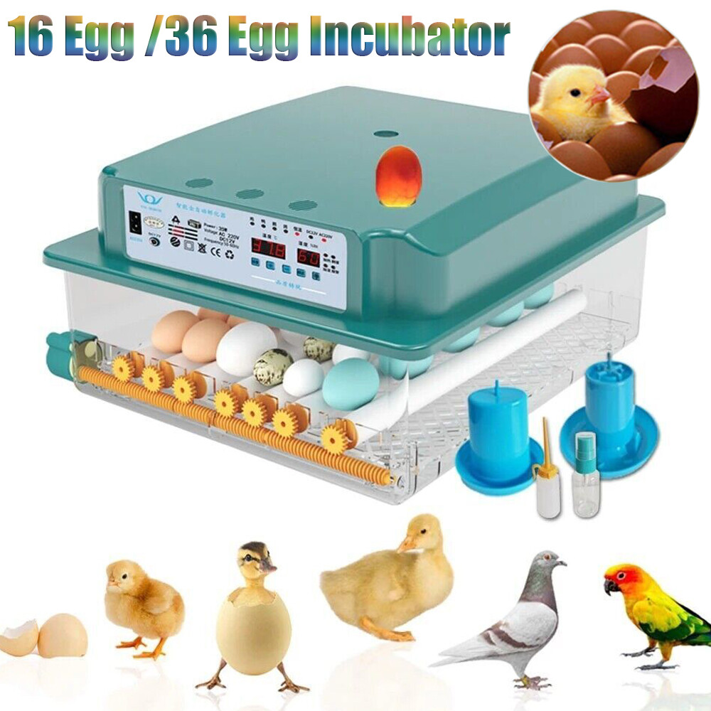 16/36 Egg Incubator Chicken Quail Hatcher Incubators Automatic Egg Turning