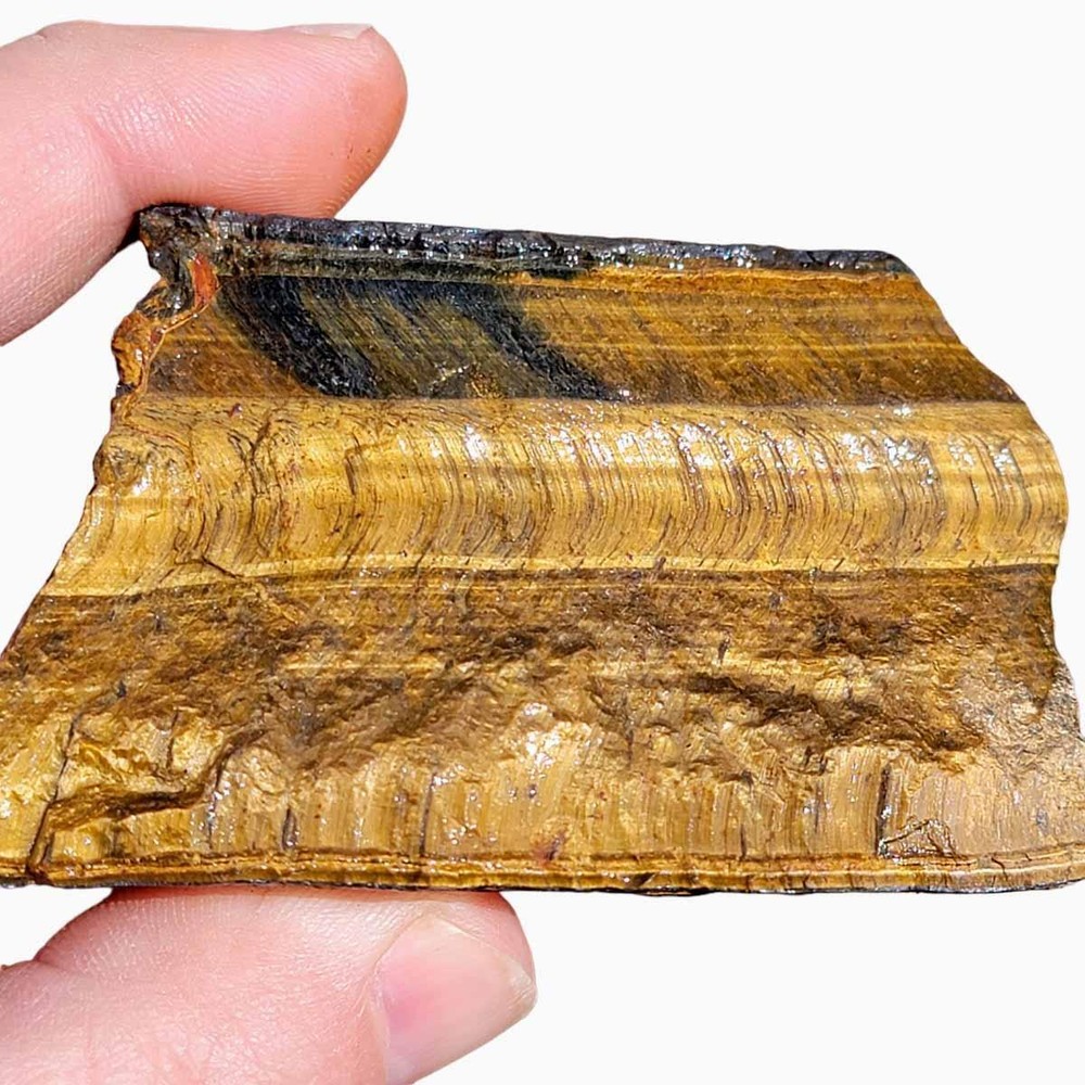 Random Pull Golden Tiger's Eye Rough! Chatoyant Display!