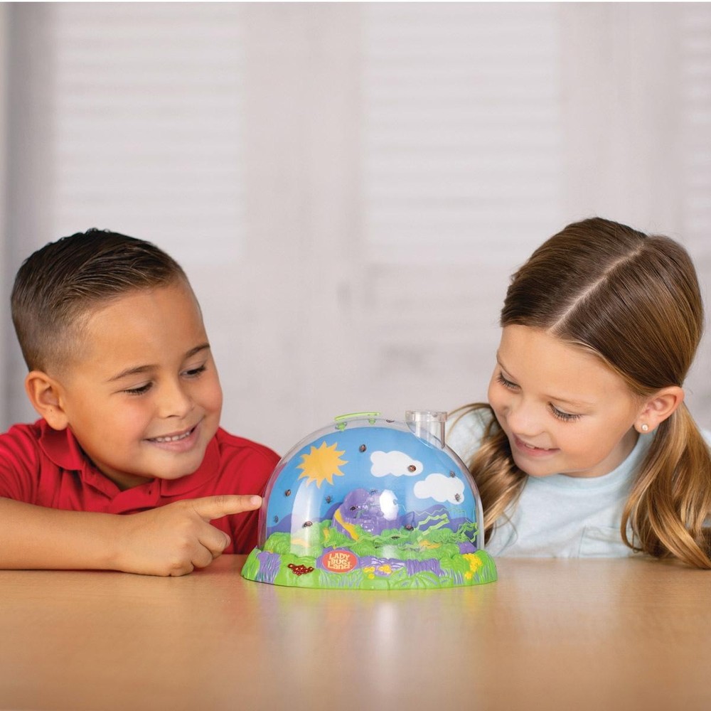 Insect Lore Products Ladybug Land with Prepaid Voucher