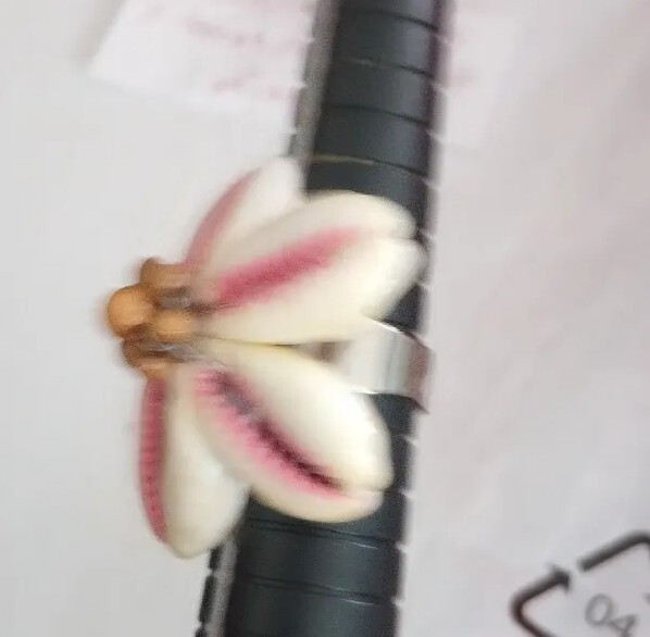 Hand Made Shell Flower White ,Pink, Brown Silver Tone Adjustable Ring