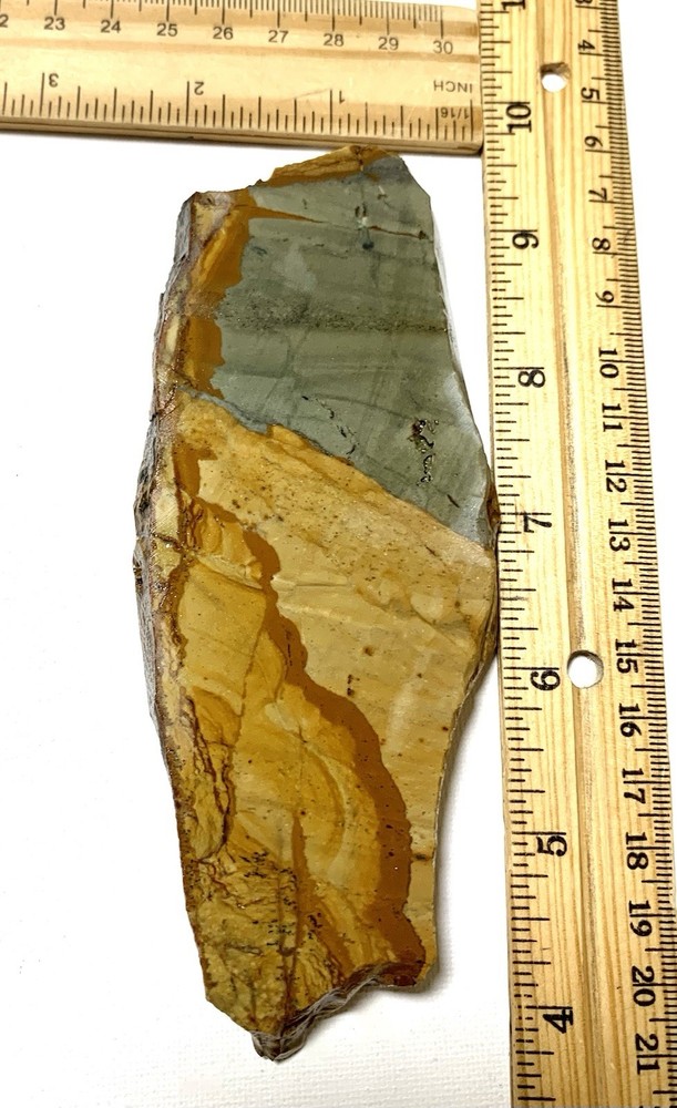 Owyhee Picture Jasper Slab