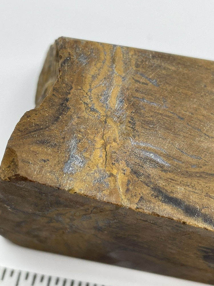 Petrified wood