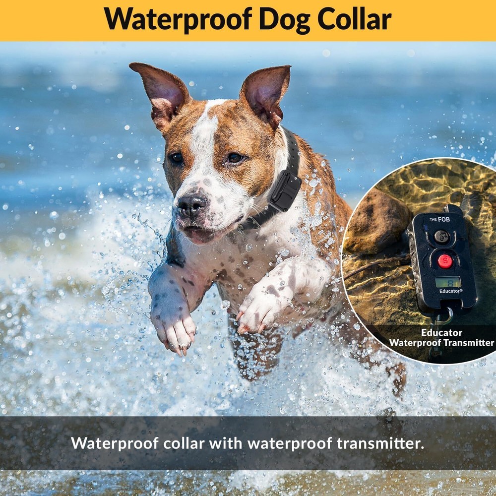 FOB Educator FE-580 Remote Training Collar by E-Collar Technologies