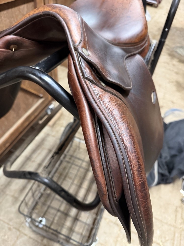 Antares Evolution Close Contact Jump Saddle 17" MW