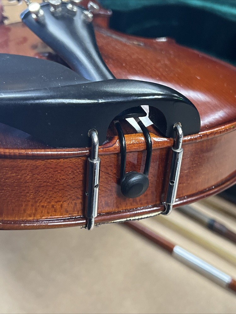 Parrot | Art No. 19 | Violin With Case