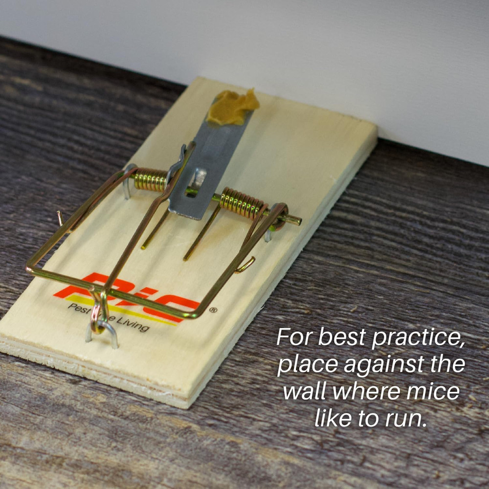 Wood Mouse Traps (4 Count per Case)