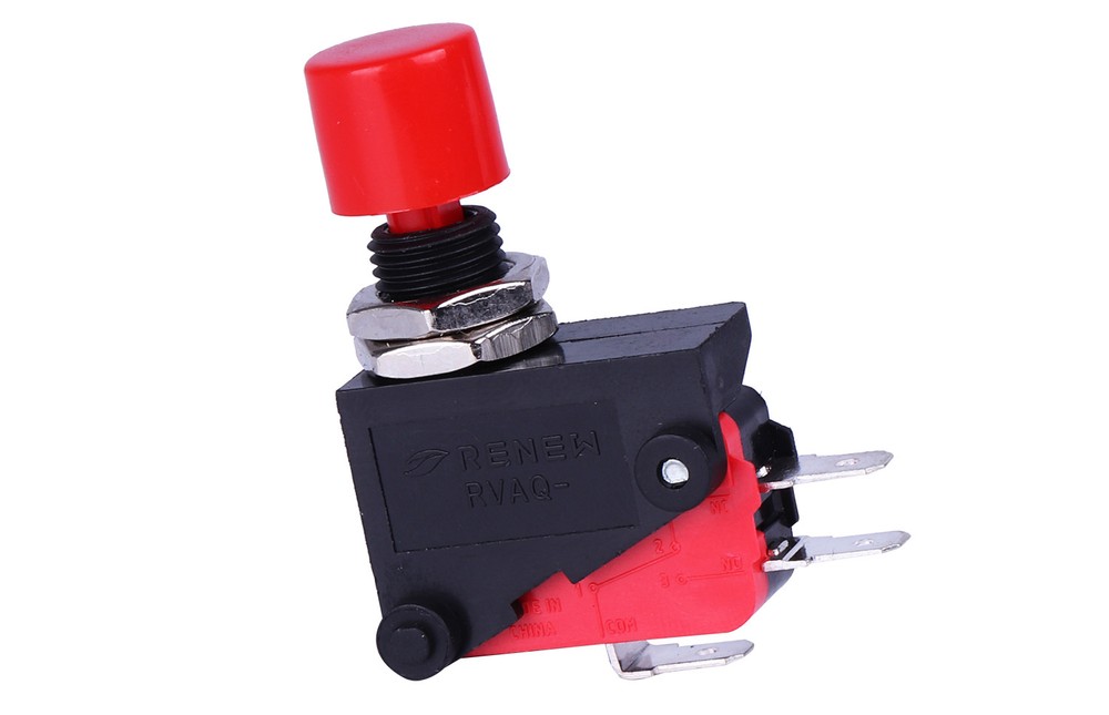 2 pcs RVAQ Micro Switch Push Button Limit Switch Screw Fixed Terminal RV Type