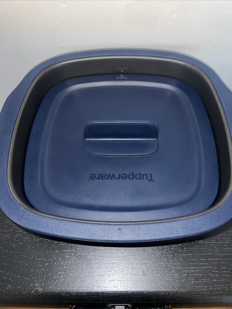 Tupperware MicroPro Series Microwave Griddle Grill Pan Excellent