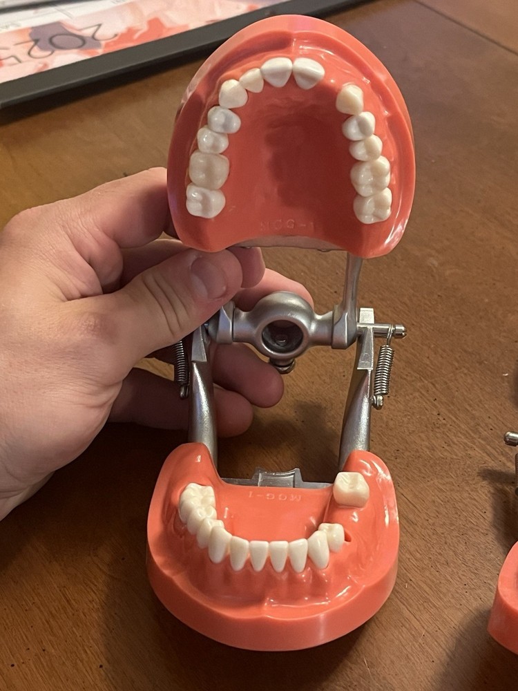 Kilgore Mcg 1 Fixed Dentoform x2