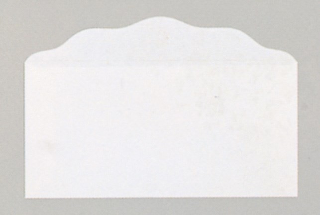OFFERING ENVELOPE-BLANK (BILL-SIZE)-WHITE (PACK OF 100)