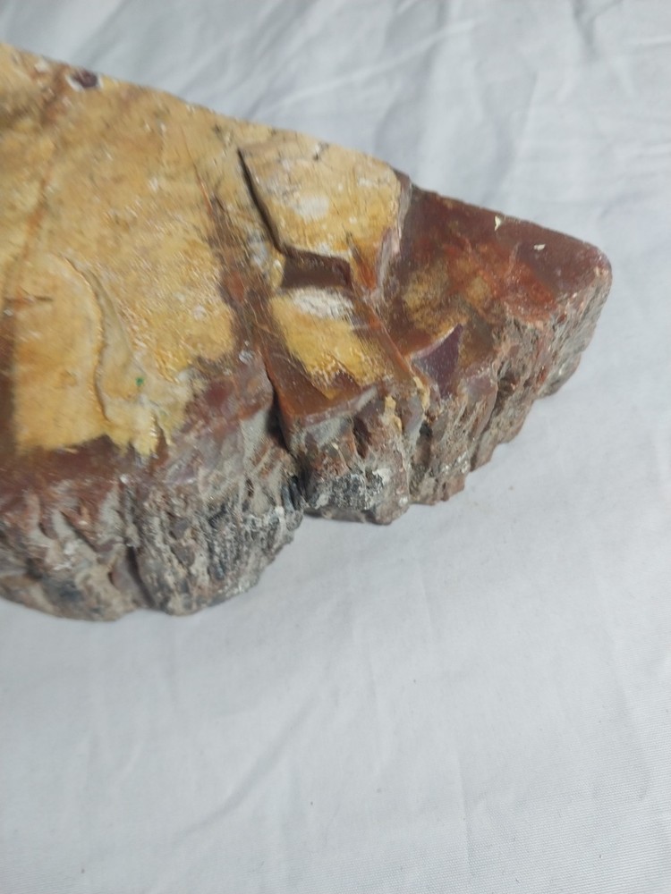 Fossilized Wood Chunk, Petrified Wood
