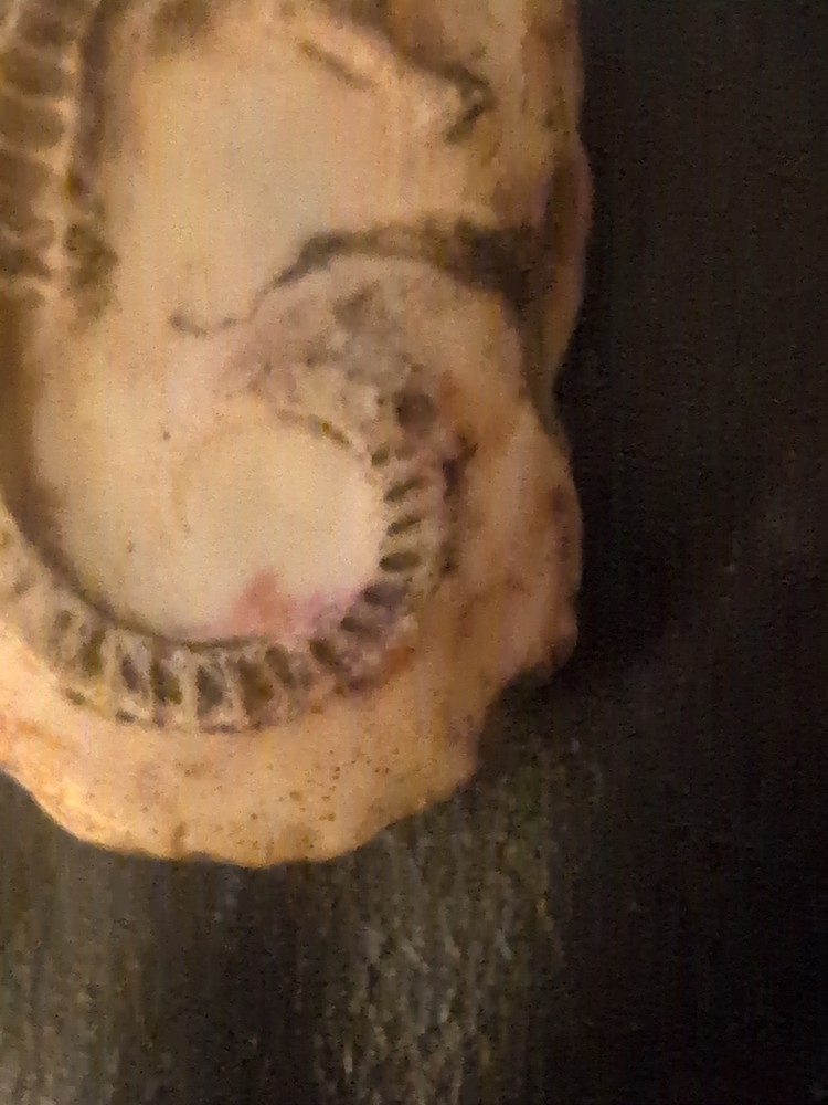 Fossil Seahorse Decorative