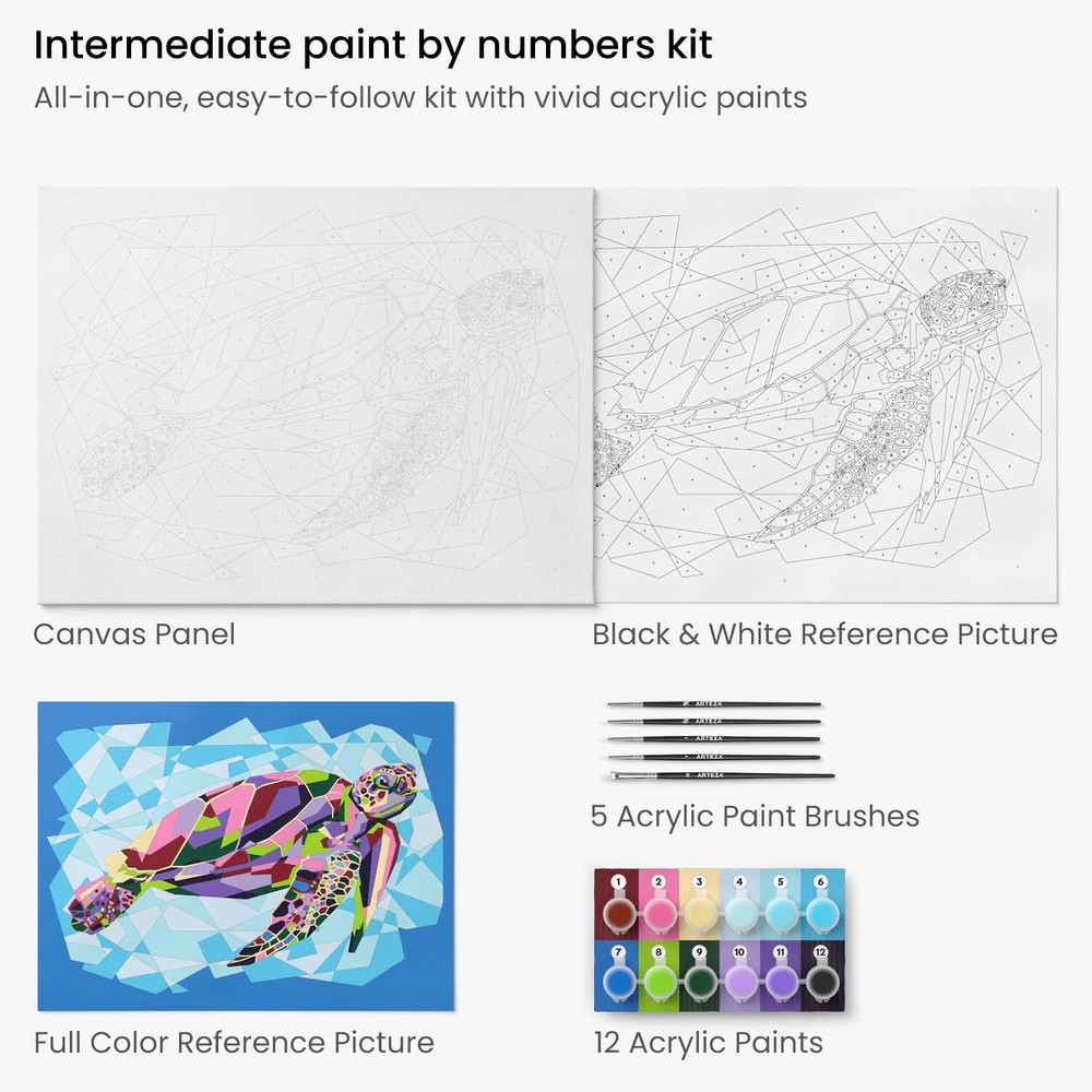 Arteza Paint by Numbers | Sea Turtle - Intermediate Level Kit