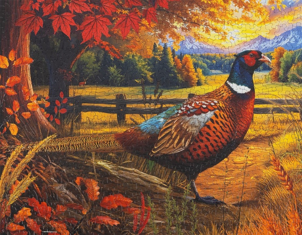 Golden Fields Pheasant 500 Piece Jigsaw Puzzle Springbok New
