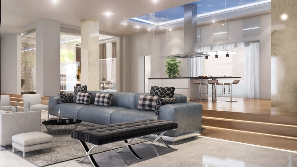  Tiny Modern House  plan( 600 spf)   with Main House Options. 