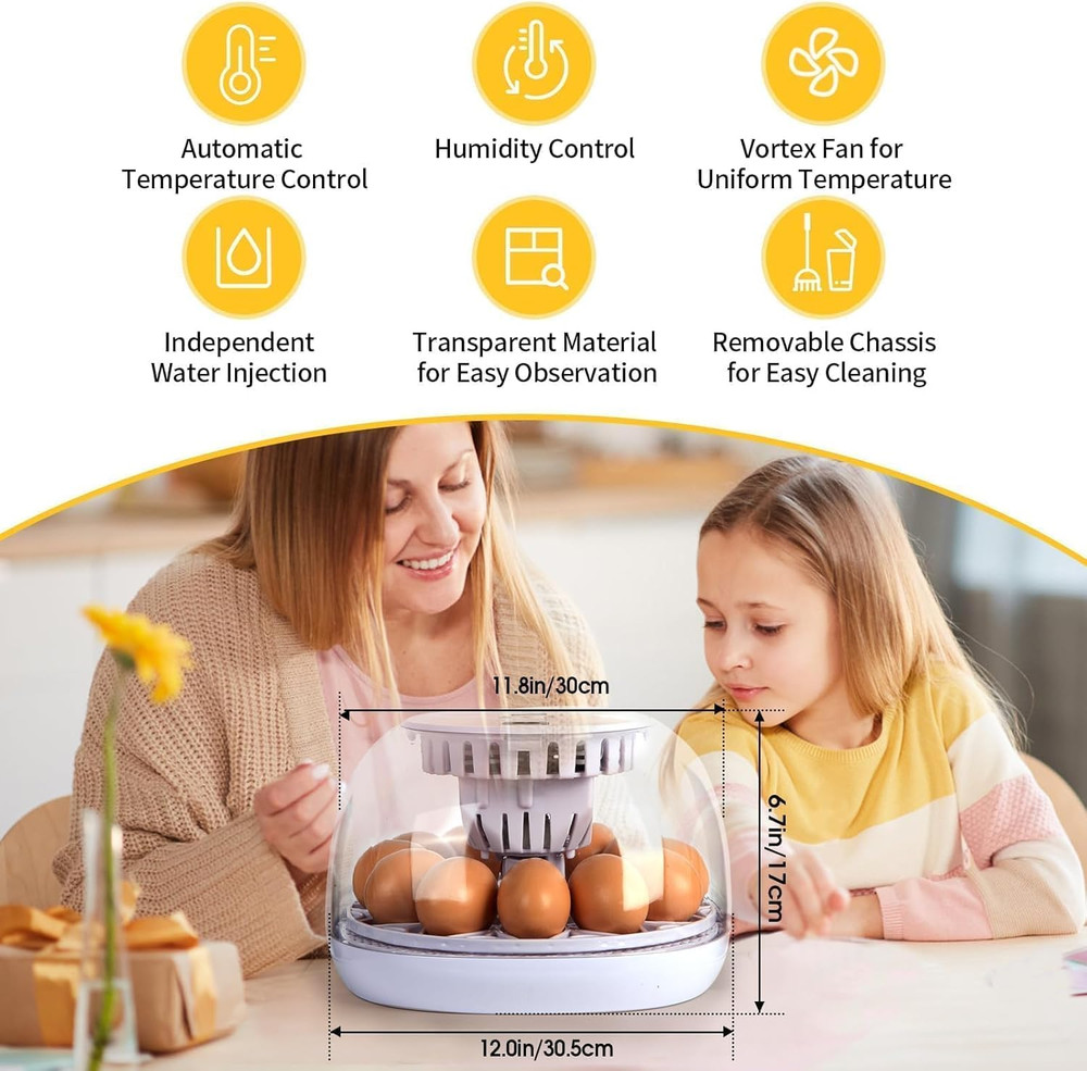 Explore 12 Egg Automatic Incubator for Beginners, Auto Egg Turning, Consistent H