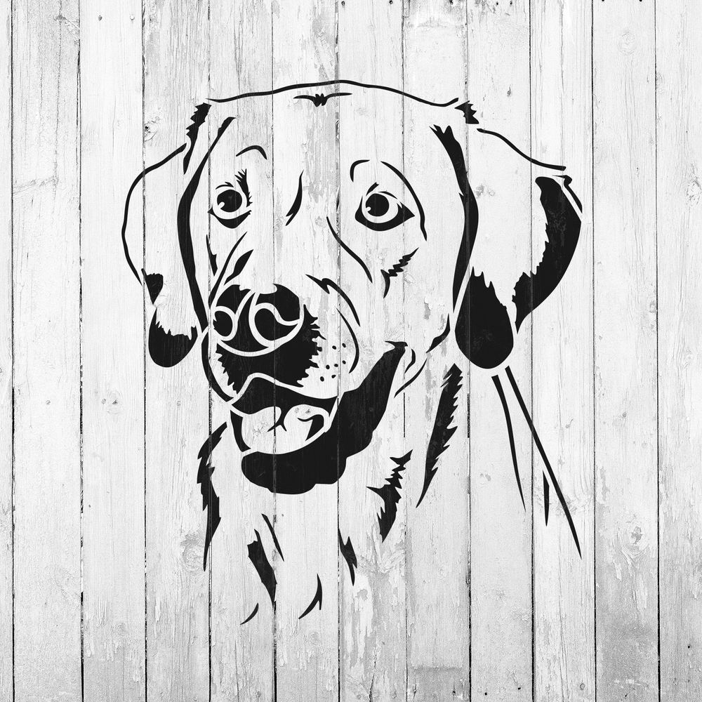 Labrador Face Stencil - Reusable Mylar Stencils for Painting