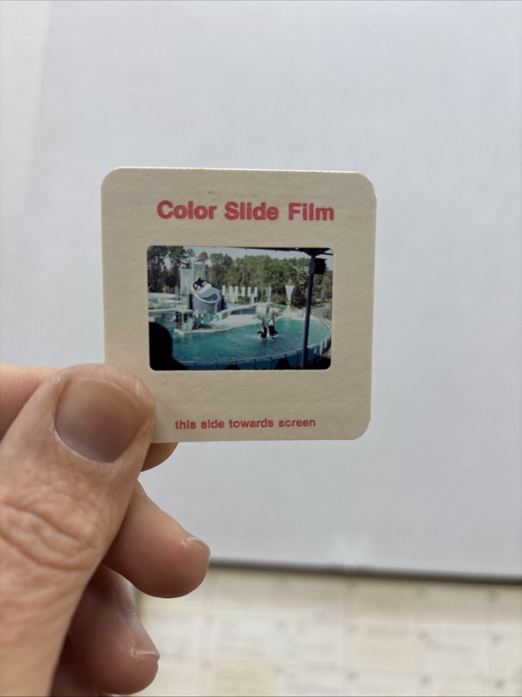 Vintage 35mm Slide Storage Case With Slides **Untested
