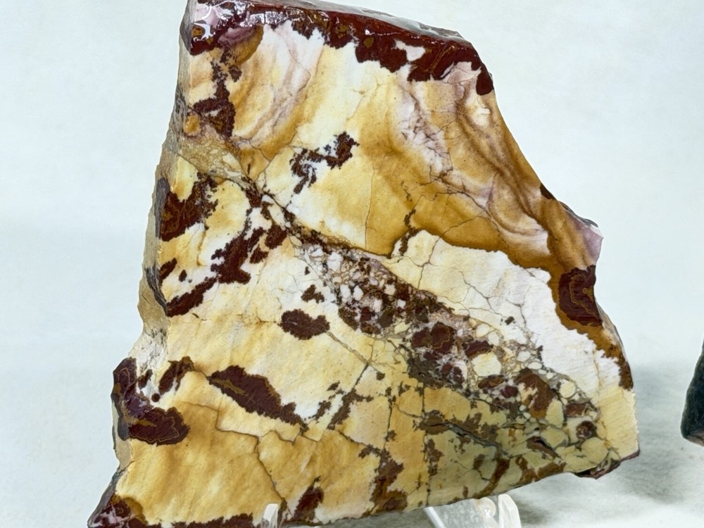Dead Camel Jasper Slab Set, Lot#384