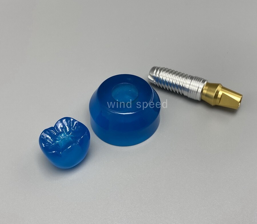 Dental Implant Model Demonstration Teeth Study Teaching Models Detachable M2020