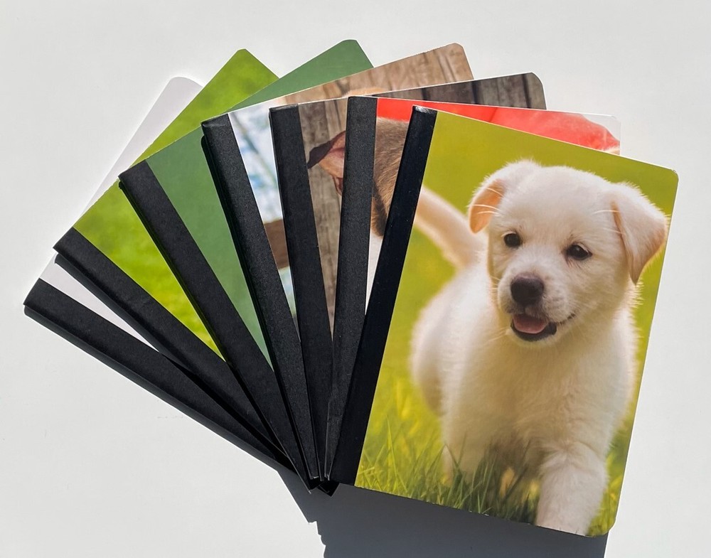 Staples Animal Kingdom Composition Book Notebook Wide Ruled 80-100 Sheets
