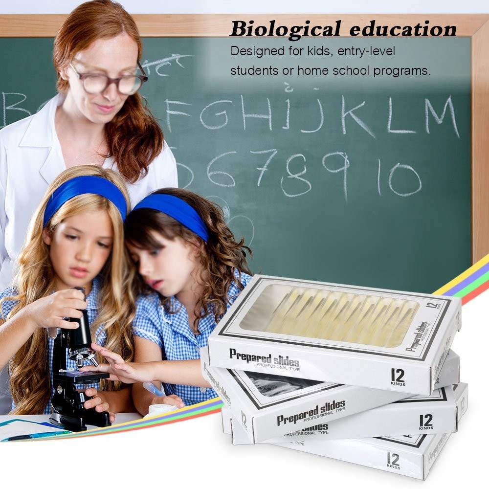 60PCS Prepared Microscope Slides for Kids – Safe & Engaging Science Exploration