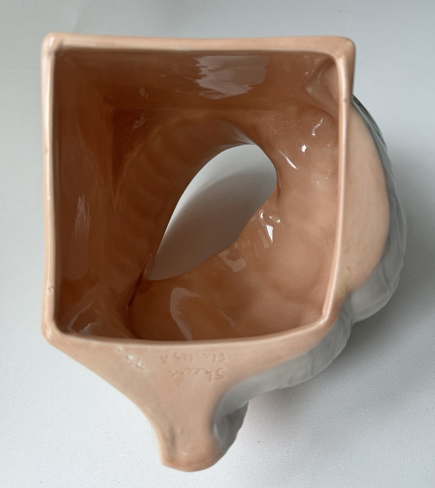 Ceramic Conch Shell Shaped Tissue Box Cover Gray/Peach -TC