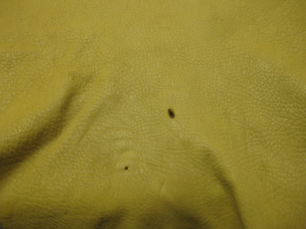 Top Grain Deer Leather #0010050 Row AA