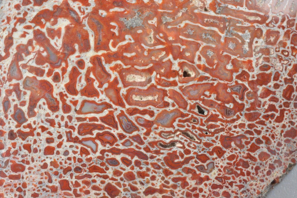 Red Agatized Dinosaur Bone, Utah, Polished, 4.1x2.9"