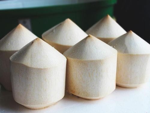 Young Coconut ( Set Of 6 )