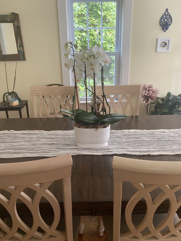 Large Dining Table Seats 10-12, Picture Shown Without the leaf.