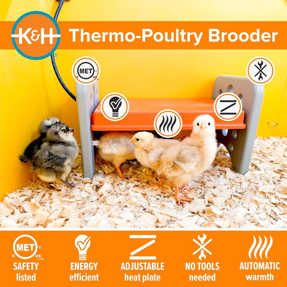Chicken Brooder Heater for Chicks, Adjustable Heating Plate for 15 Chicks
