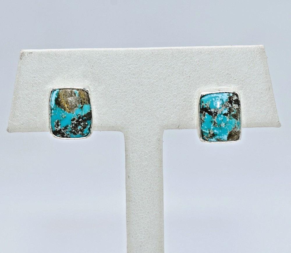 Campo Frio Turquoise Sterling Silver Rectangular Earrings by Ryan Schoolfield