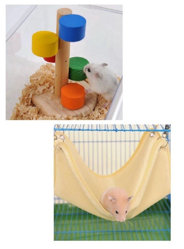 Hamster Paradise Hammock and Toy Set