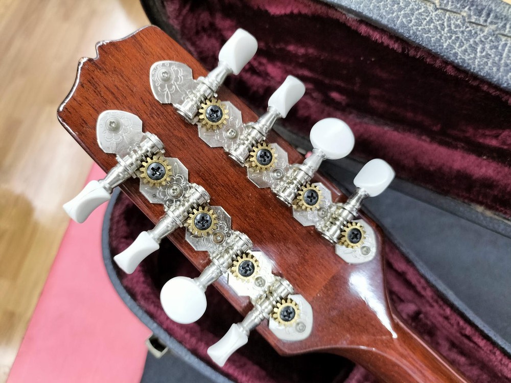 BLUERIDGE BM300F/TS Mandolin