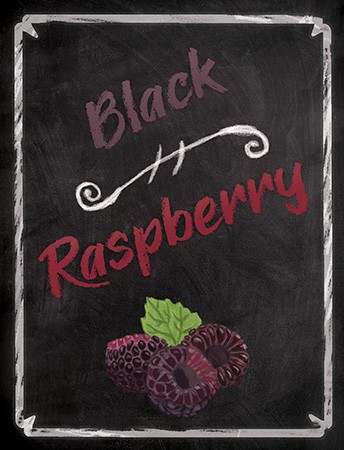 Home Brew Ohio Black Raspberry Mist Wine Labels 30 ct