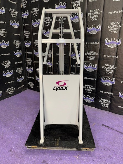 Cybex VR Multi Grip Row & Rear Delt Combo