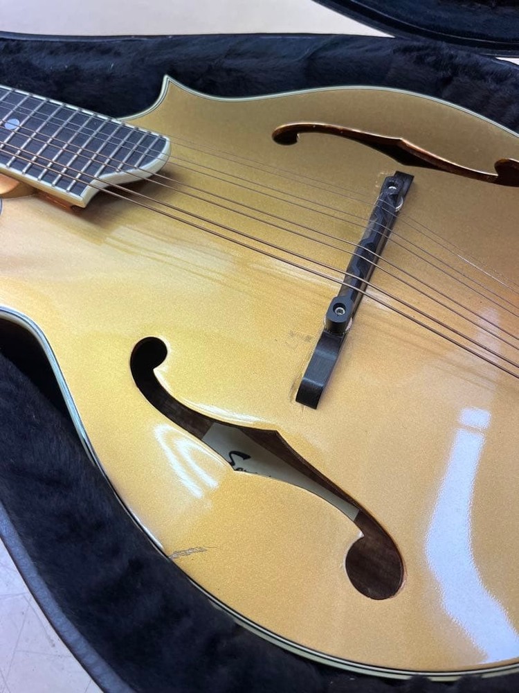 Earlham Gold Mandolin 8 string