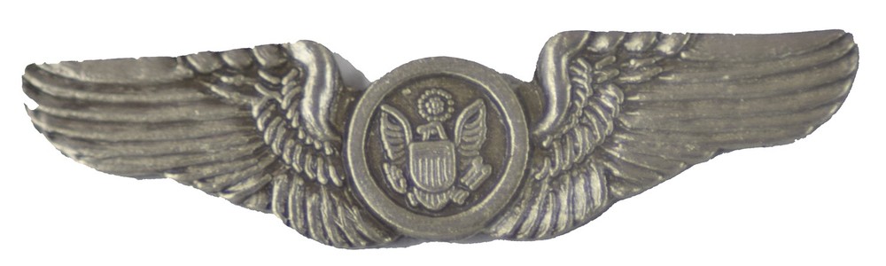 AIR CREW HAT PIN