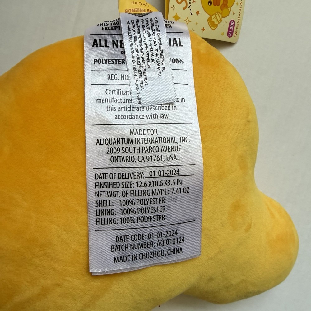 Line friends Sally Makes Everything Yellow Leonard Cushion